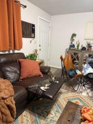 Lost Female Cat last seen Near W close to 1100 North, Pleasant Grove, UT 84062