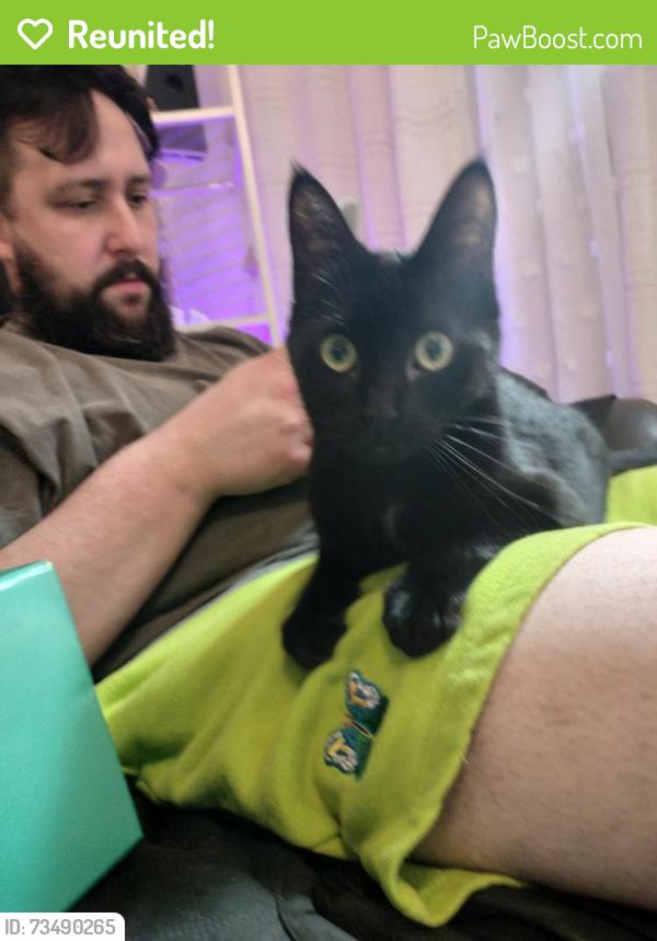 Reunited Female Cat last seen woodstone and Vance jackson, San Antonio, TX 78230