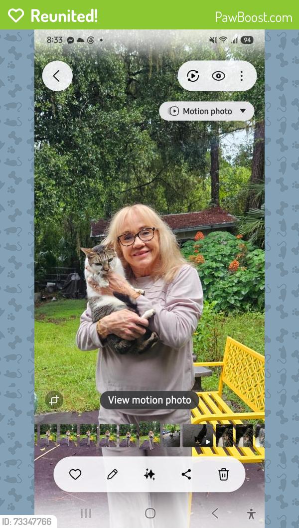 Reunited Female Cat last seen Near & 417 woods by Petsuites, Oviedo, FL 32765