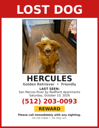 Lost Male Dog last seen San Marcos River and I-35, San Marcos, TX 78666