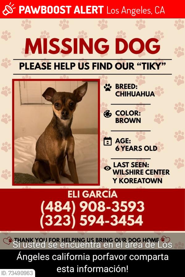Lost Male Dog last seen Western Blvd. And melrose, Los Angeles, CA 90038