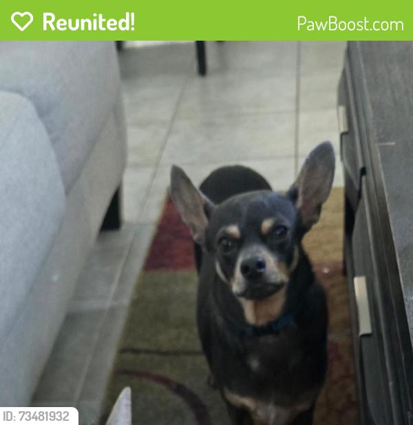 Reunited Male Dog last seen Marguerite Ave, Tolleson, AZ 85353