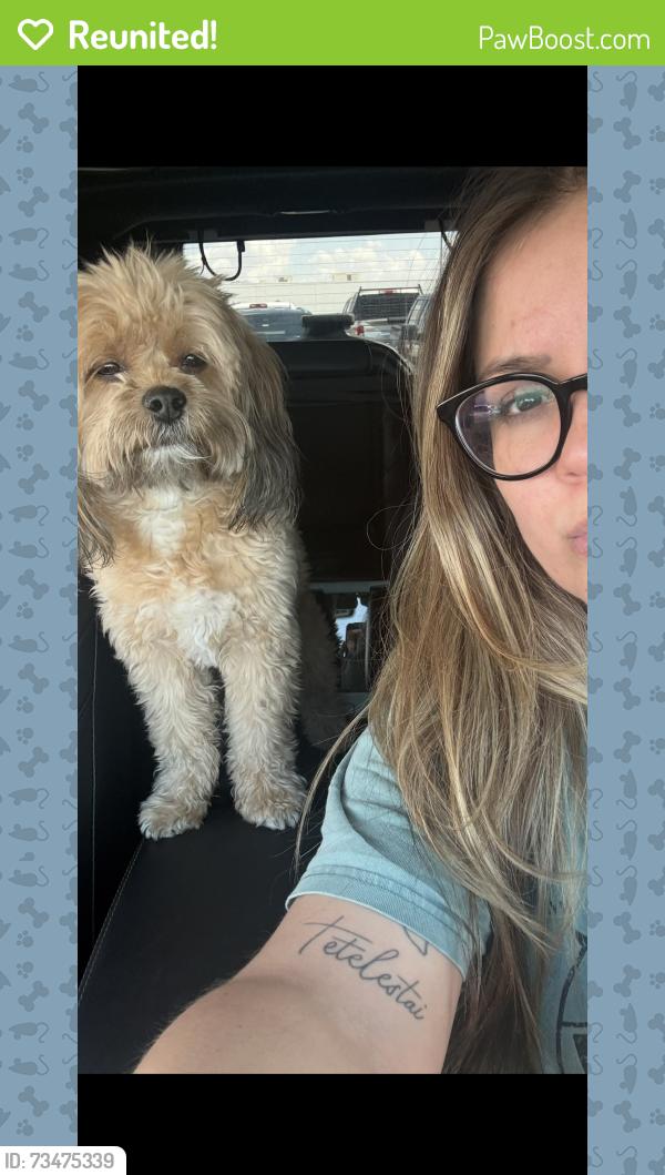 Reunited Male Dog last seen Walmart off I20 South Midland, Midland, TX 79701