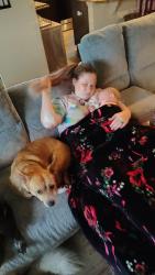 Lost Female Dog last seen Orchid rd Davenport, Davenport, FL 33837