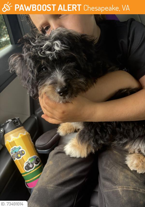 Found/Stray Male Dog last seen Benefit rd, Chesapeake, VA 23322