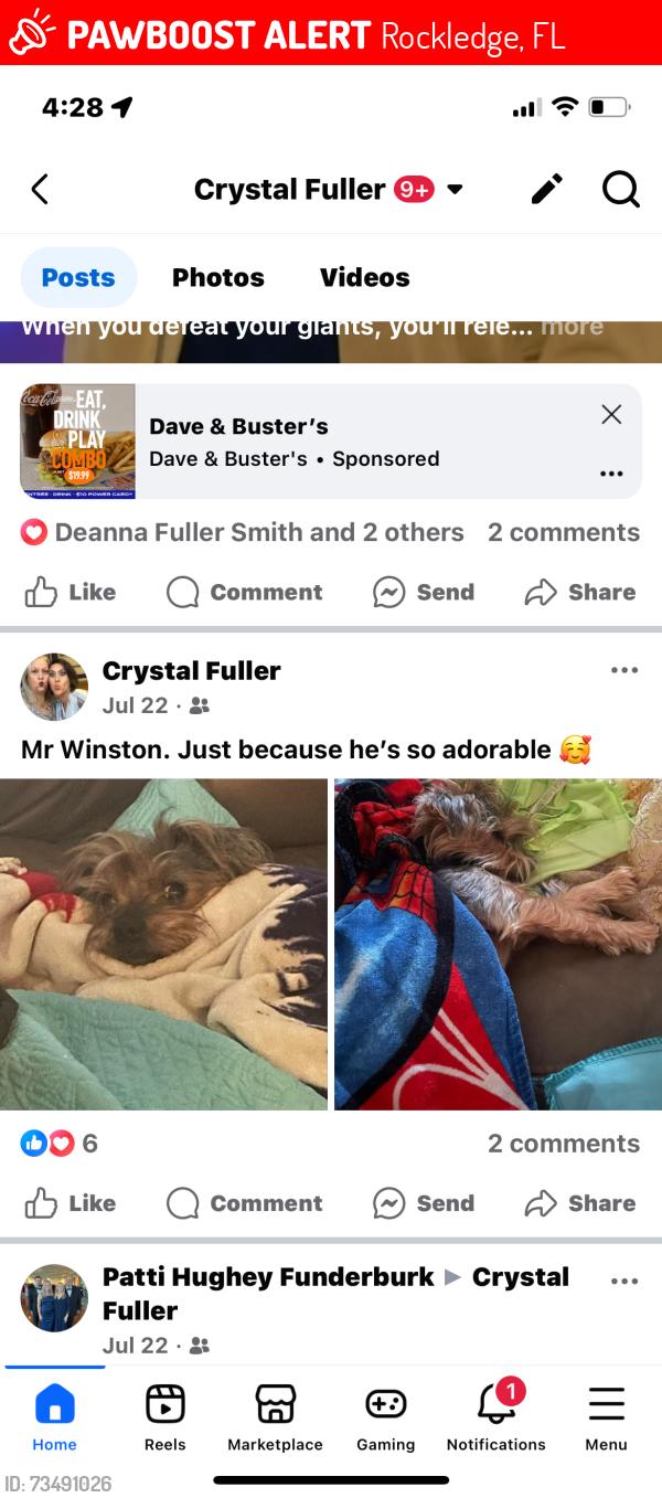 Lost Male Dog last seen Fiske, Rockledge, FL 32955