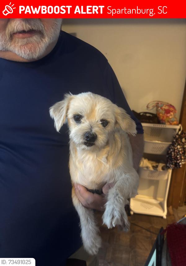 Lost Male Dog last seen Fernwood Glendale, Spartanburg, SC 29307