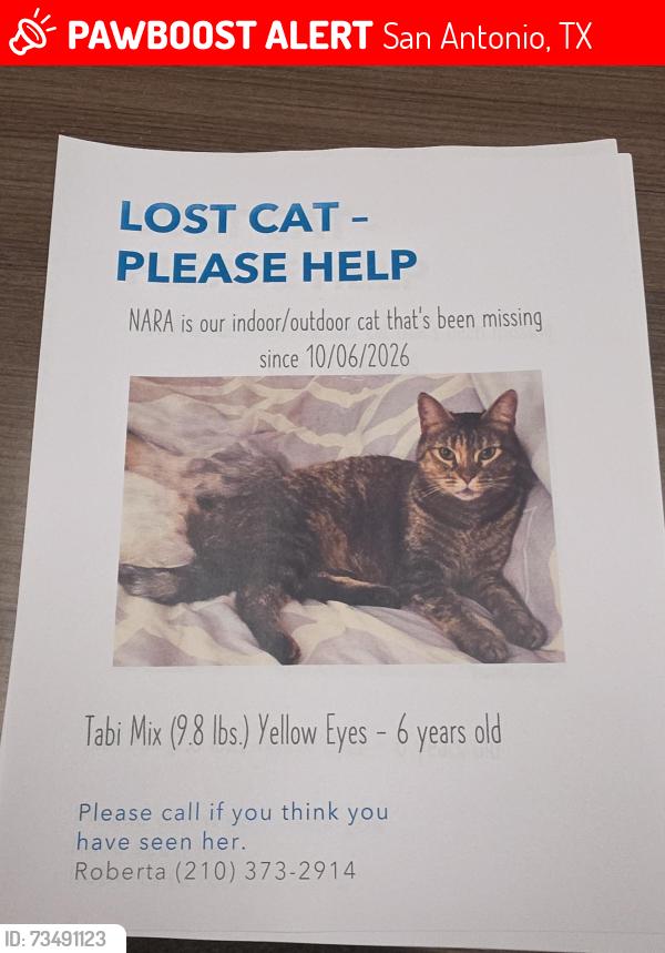 Lost Female Cat last seen Abe Lincoln, San Antonio, TX 78240