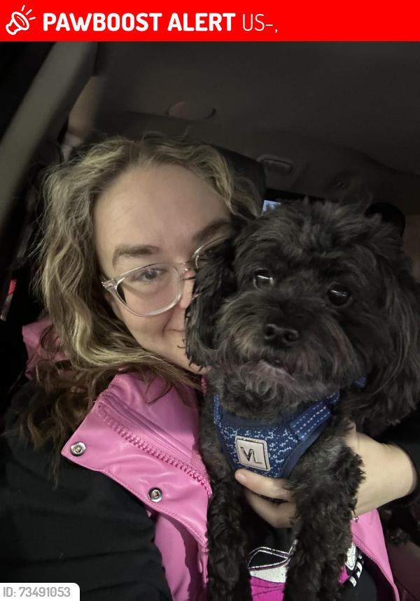 Lost Male Dog last seen Highway 20, mile mark 207, US-20,  68765