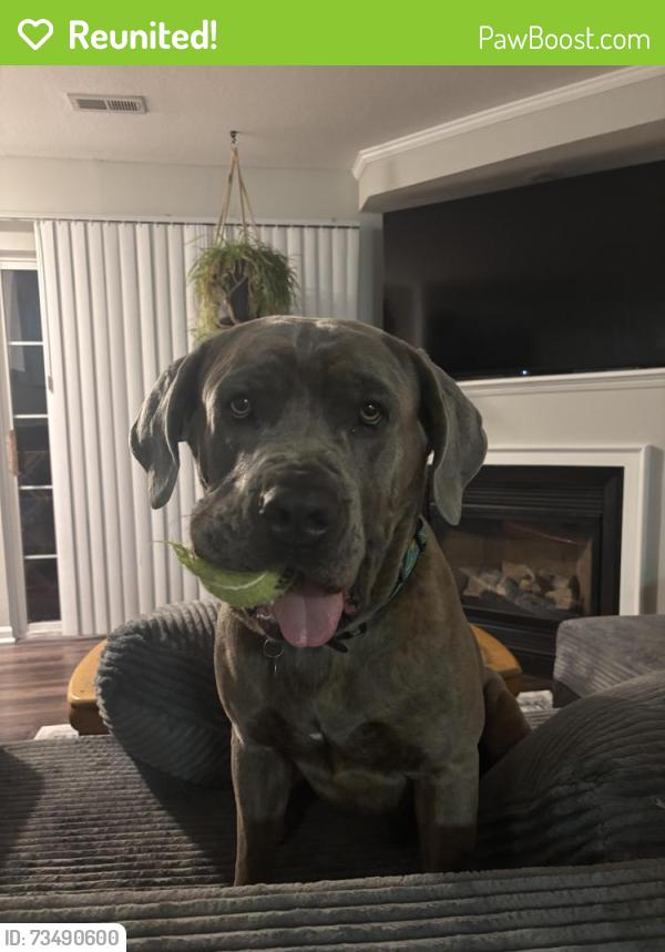 Reunited Male Dog last seen Clime Rd, Columbus, OH 43228
