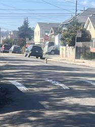 Found/Stray Unknown Dog last seen 4th and Chanslor, Richmond, CA 94801