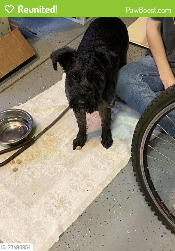 Reunited Male Dog last seen Old Ranch Rd near Rosewood Ln, Escondido, CA 92027