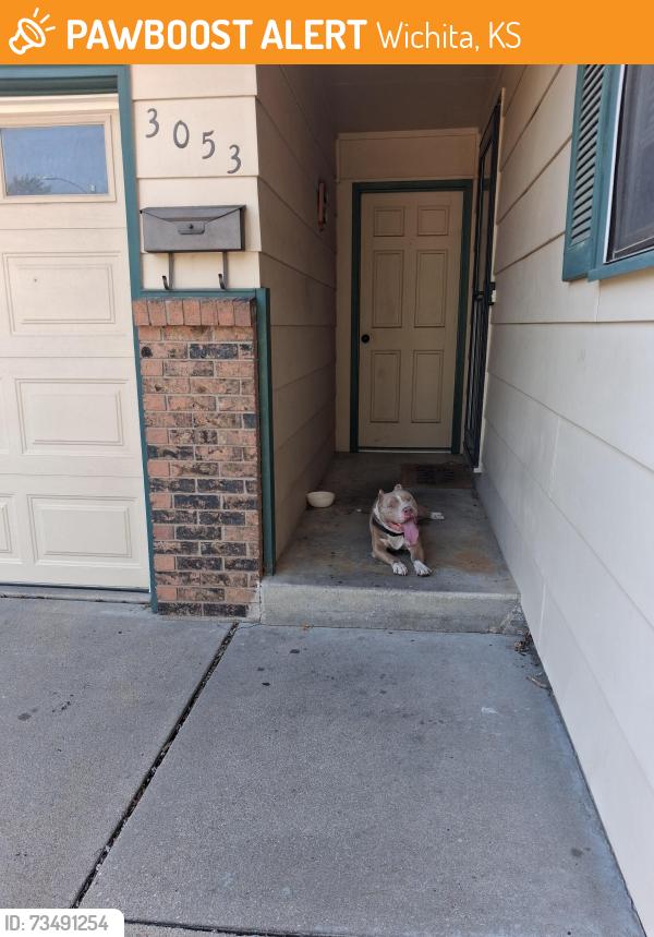 Found/Stray Male Dog last seen 30th and Gordon Ave, Wichita, KS 67217