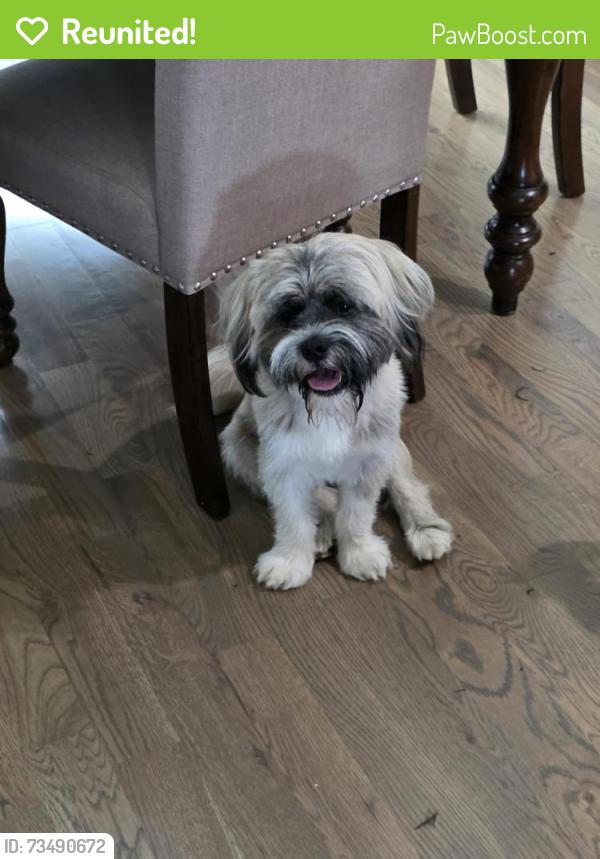 Reunited Male Dog last seen Jose Way Murfreesboro, Murfreesboro, TN 37130