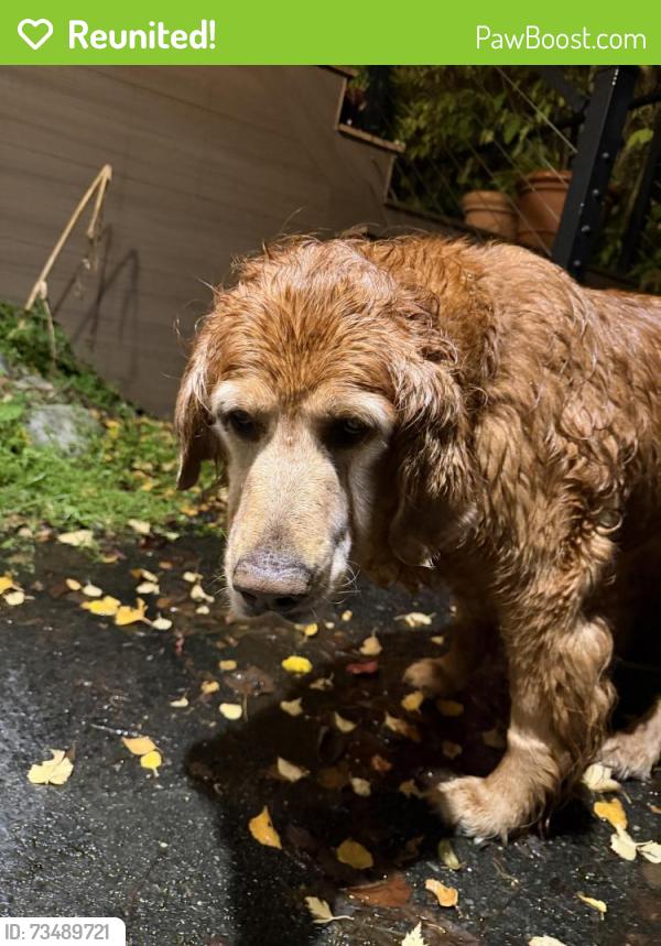 Reunited Female Dog last seen Potter Valley Road & Villages Scenic Parkway, Anchorage, AK 99516