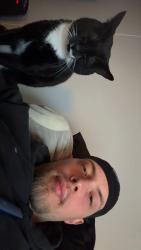 Reunited Male Cat last seen King, NC, USA, King, NC 27021