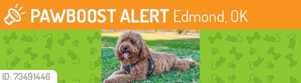 Found/Stray Male Dog last seen lilly hamer, Edmond, OK 73034