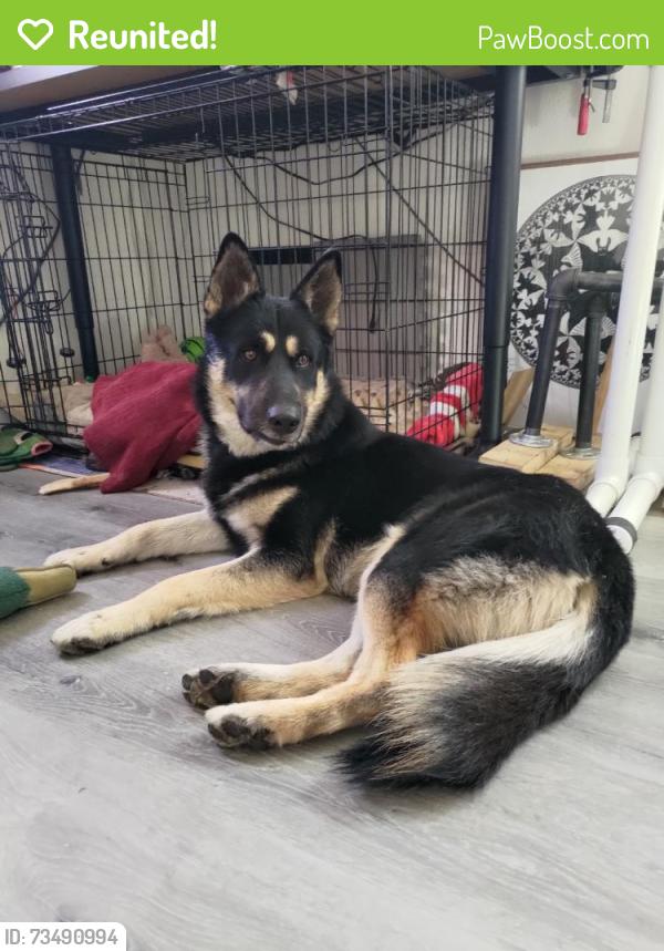 Reunited Male Dog last seen S King Rd, San Jose, CA, USA, San Jose, CA 95122