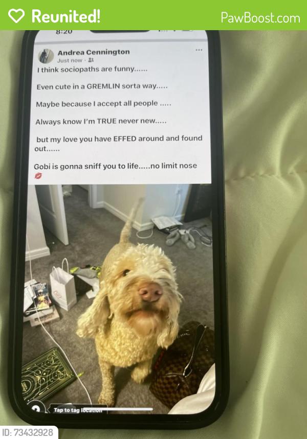Reunited Male Dog last seen Ivy Spark, Pasco County, FL 33545