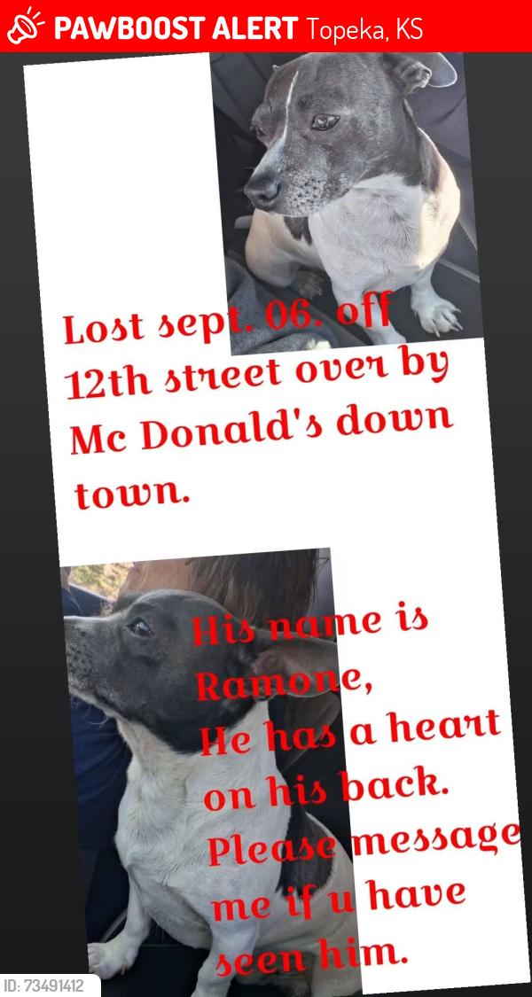 Lost Male Dog last seen mcds on 12th kansas, Topeka, KS 66607