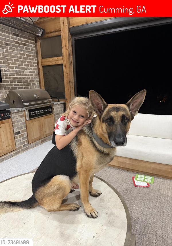 Lost Male Dog last seen Doc Bramblett & Spot Rd, Cumming, GA 30040