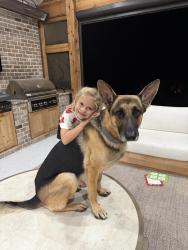 Lost Male Dog last seen Doc Bramblett & Spot Rd, Cumming, GA 30040
