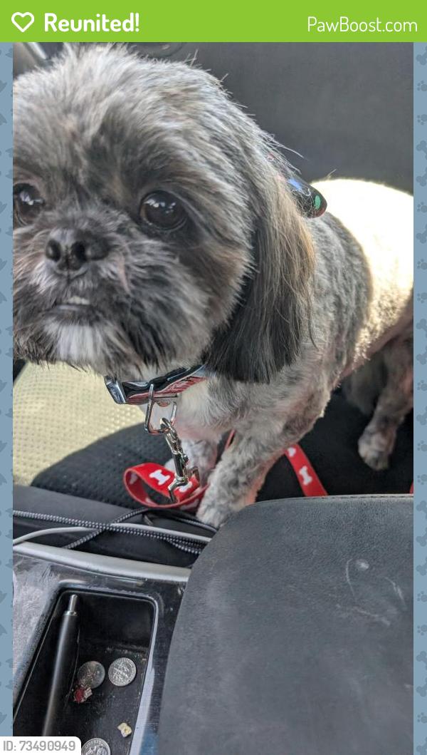Reunited Male Dog last seen Canal near grapeday park, Escondido, CA 92025