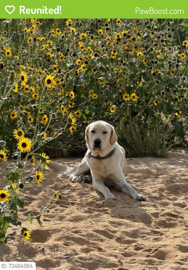 Reunited Male Dog last seen Castlewood Canyon State Park, Franktown, CO 80116