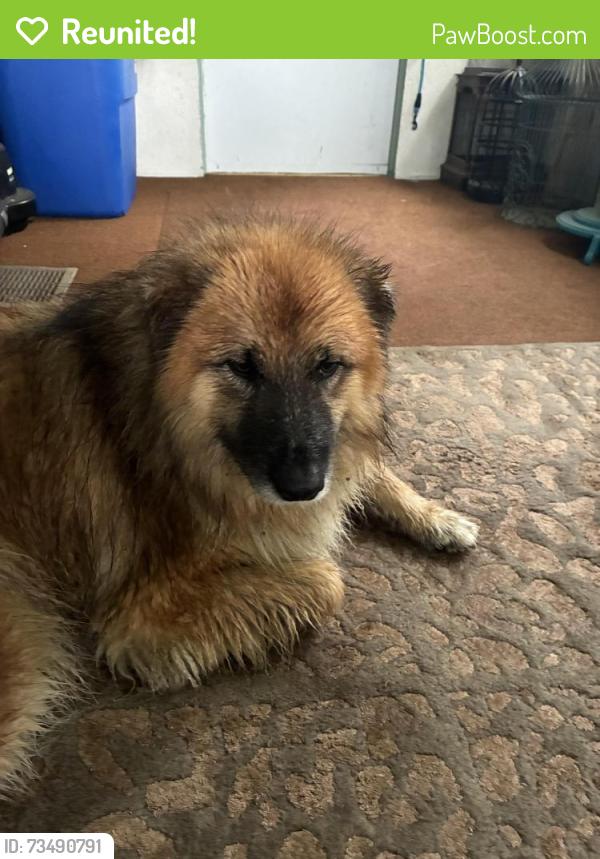 Reunited Unknown Dog last seen Conrad Sawmill Rd / Grapevine, Lewisville, NC 27023