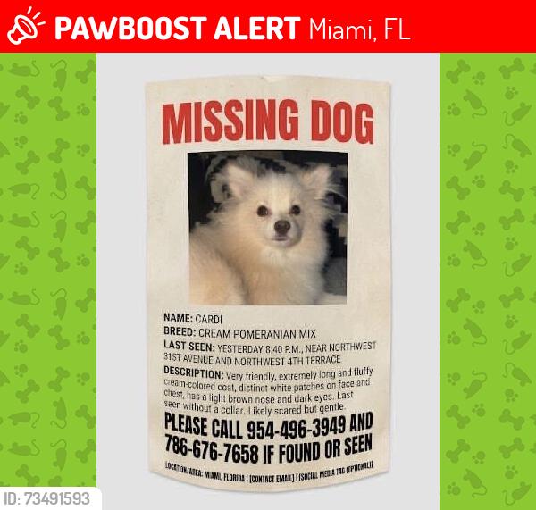 Lost Male Dog last seen , close to the intersection in question., Miami, FL 33125