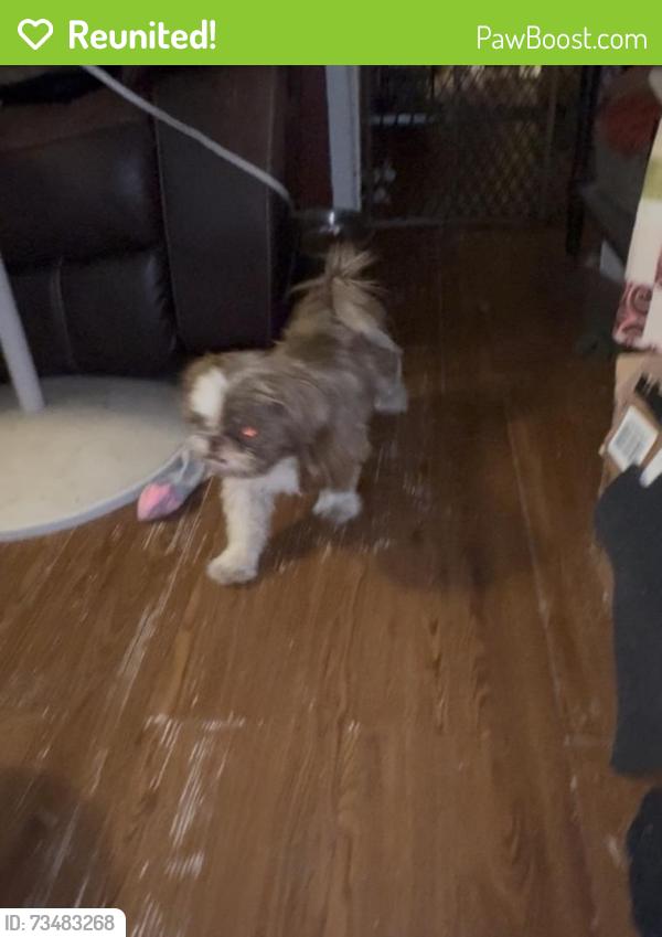 Reunited Male Dog last seen Taco Bell on Crowley and i20, Fort Worth, TX 76134