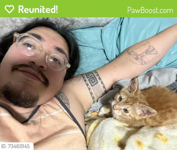 Reunited Male Cat last seen Halsted Rd & N Rockton Blvd, Rockford, IL 61101