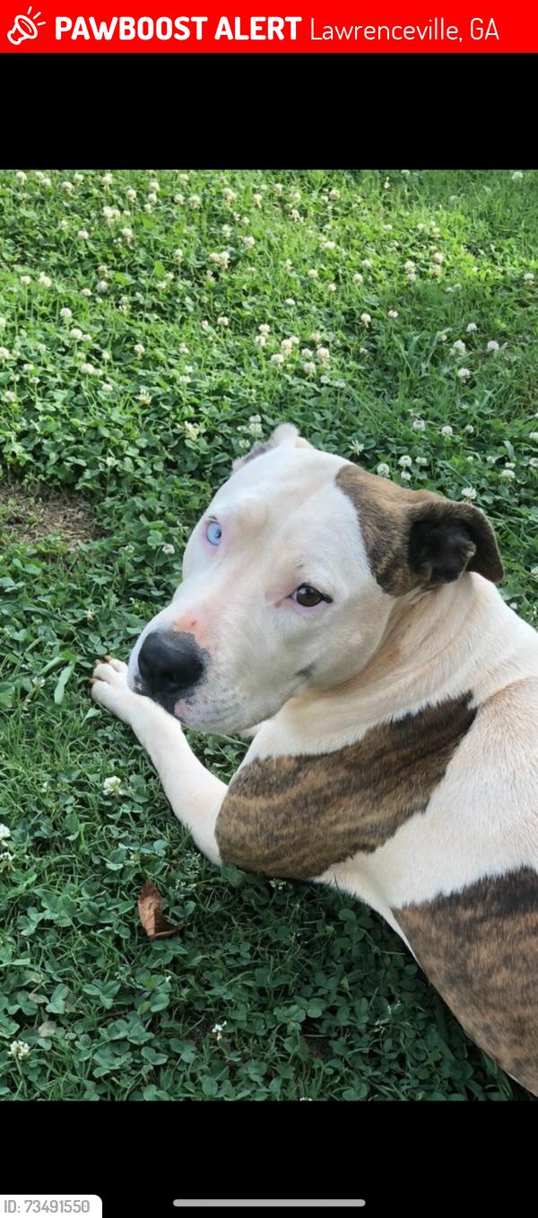 Lost Female Dog last seen Walmart Neighborhood Market Lawrenceville hwy, Lawrenceville, GA 30044