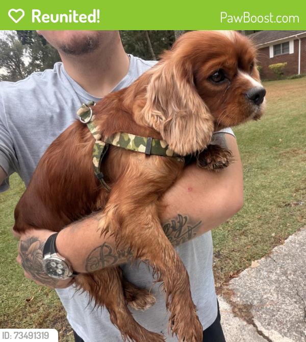 Reunited Male Dog last seen Garden Lakes / West Rome, Rome, GA 30165