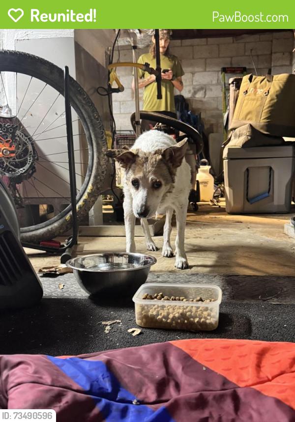 Reunited Female Dog last seen Rockcliff and Brannen, Atlanta, GA 30316