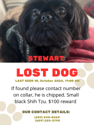 Reunited Male Dog last seen Church road and mount laurel road, Mount Laurel Township, NJ 08054