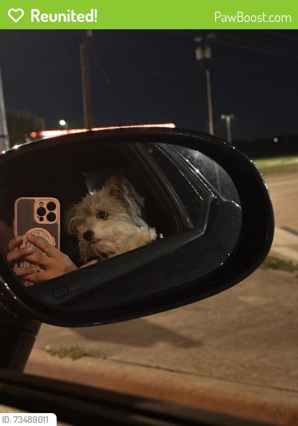 Reunited Female Dog last seen Pine Tree Cir W, Fort Worth, TX 76244, USA, Fort Worth, TX 76244