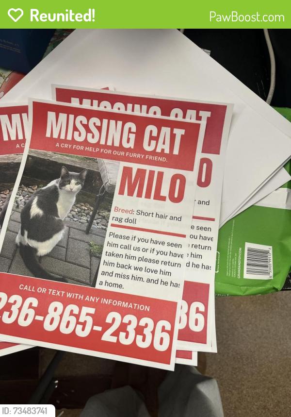 Reunited Male Cat last seen Tim Hortons., Surrey, BC V3W 1M5
