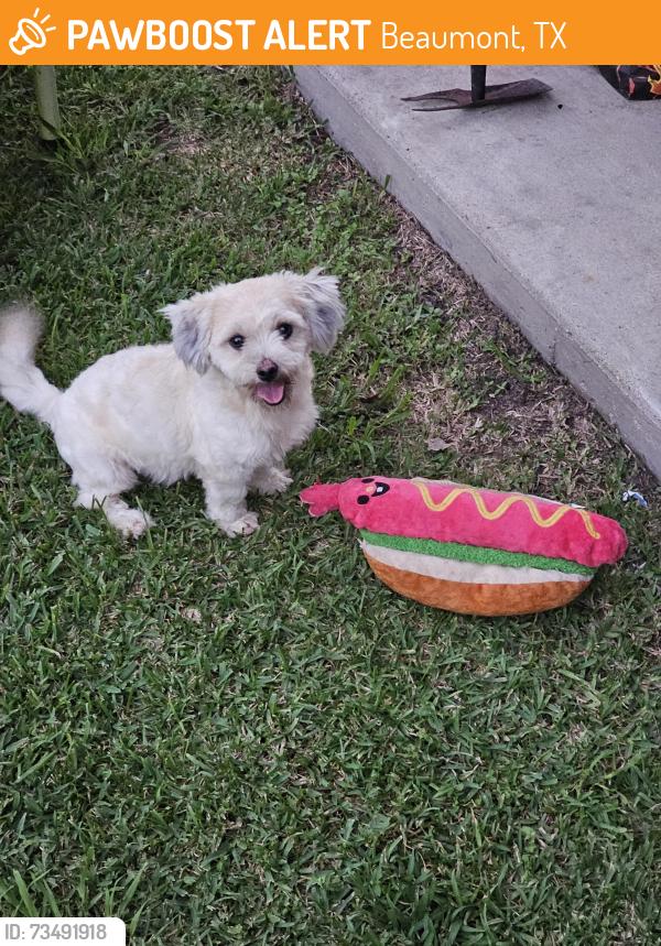 Found/Stray Male Dog last seen Near Berard Cir, Beaumont, TX 77705