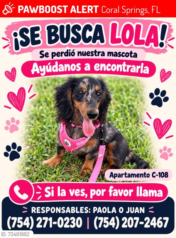 Lost Female Dog last seen address 2940 forest hills blvd 33065 The Palms at Forest Hills, Coral Springs, FL 33065