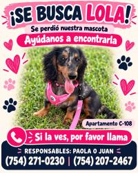 Lost Female Dog last seen address 2940 forest hills blvd 33065 The Palms at Forest Hills, Coral Springs, FL 33065