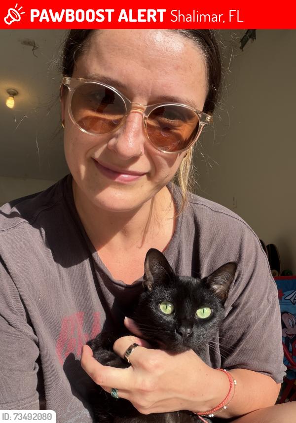 Lost Female Cat last seen 7thSt/11thAve, Shalimar, FL 32579