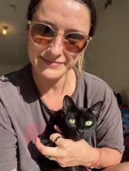 Lost Female Cat last seen 7thSt/11thAve, Shalimar, FL 32579