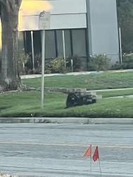 Found/Stray Unknown Dog last seen Pacific biosciences, Palo Alto, CA 94301