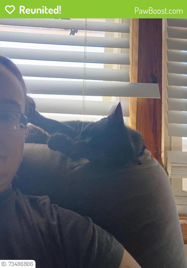 Reunited Female Cat last seen Epco Drive and Justice Center, Dandridge, TN 37725