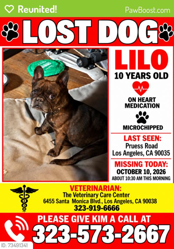 Reunited Female Dog last seen Pruess, Los Angeles, CA 90035