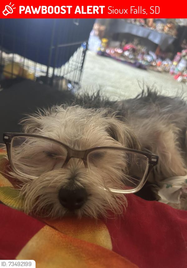 Lost Male Dog last seen terrace park, Sioux Falls, SD 57104