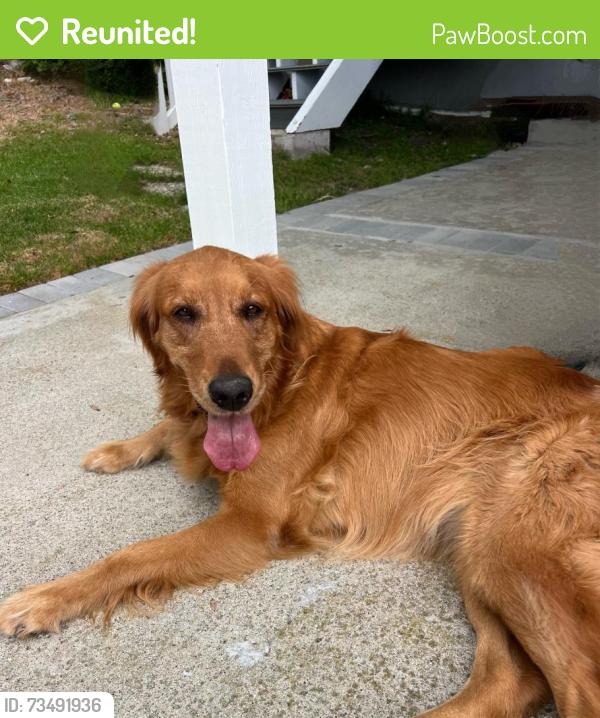 Reunited Female Dog last seen Armaga Spring /Indian Valley, Rancho Palos Verdes, CA 90275