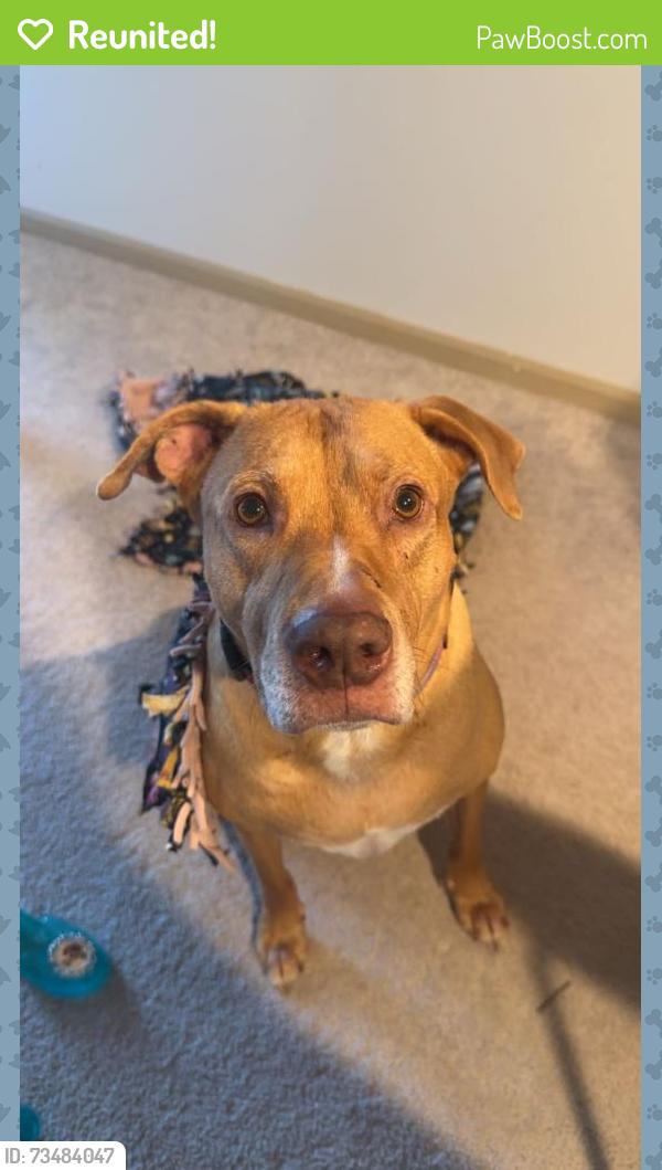 Reunited Male Dog last seen Goose Lake State Wildlife Area, Deerfield, WI 53559