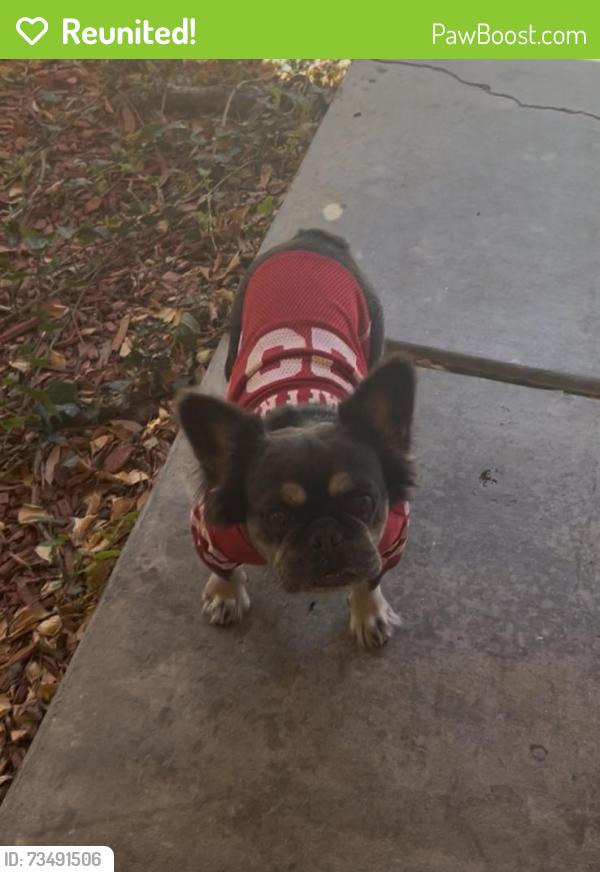 Reunited Female Dog last seen Rotary Way, Vallejo, CA 94591